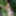 Cute teen Lolly posing nude in the tree #13