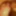 Doggyfucking with big cock - full load of cum