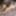 GROOBYCLUB: Nikki Kittens Is The Cat&#039;s Meow! #6
