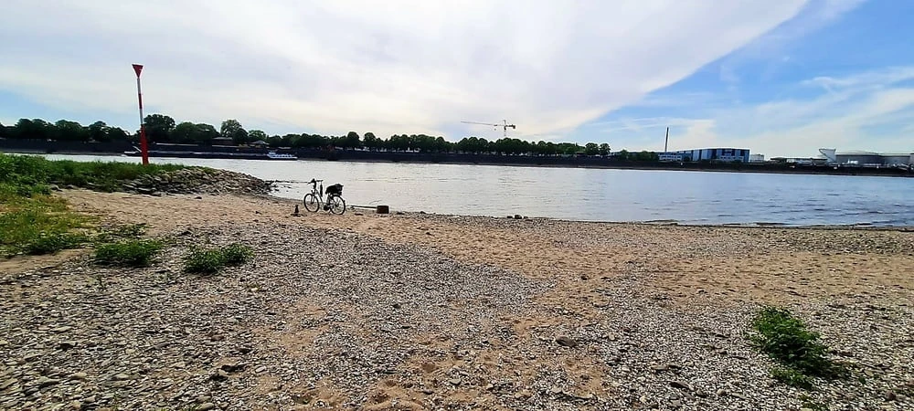 Relaxen am Rhein #3