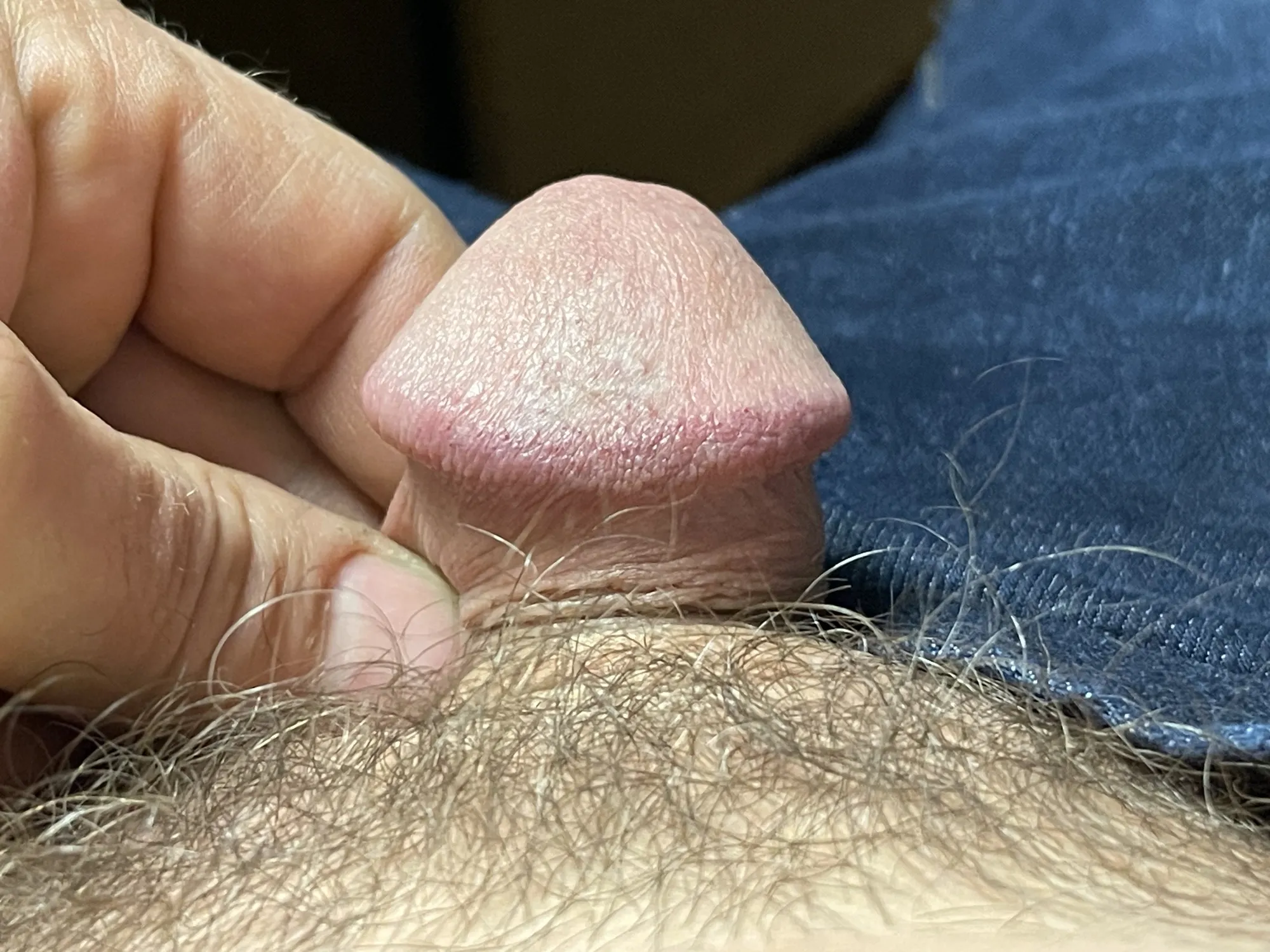 Micro Dick Porn