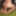 Dildo in Ass