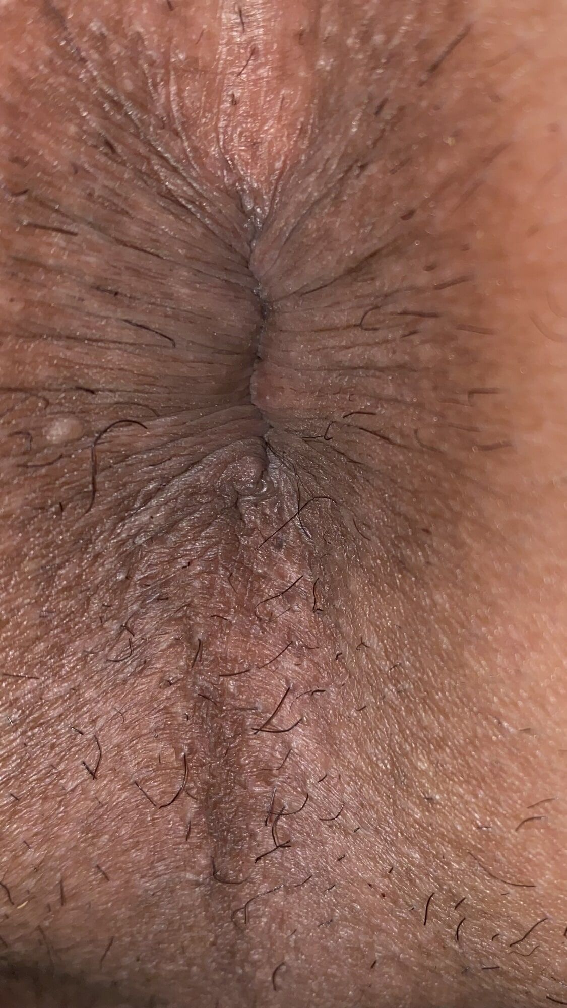 Close-up of a man's anus #41