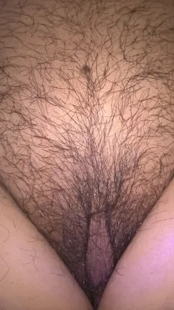 my beautiful hairy wife pubic hair and labia         