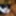exhibitionist webcam sexshow cumshot tribute to my self
