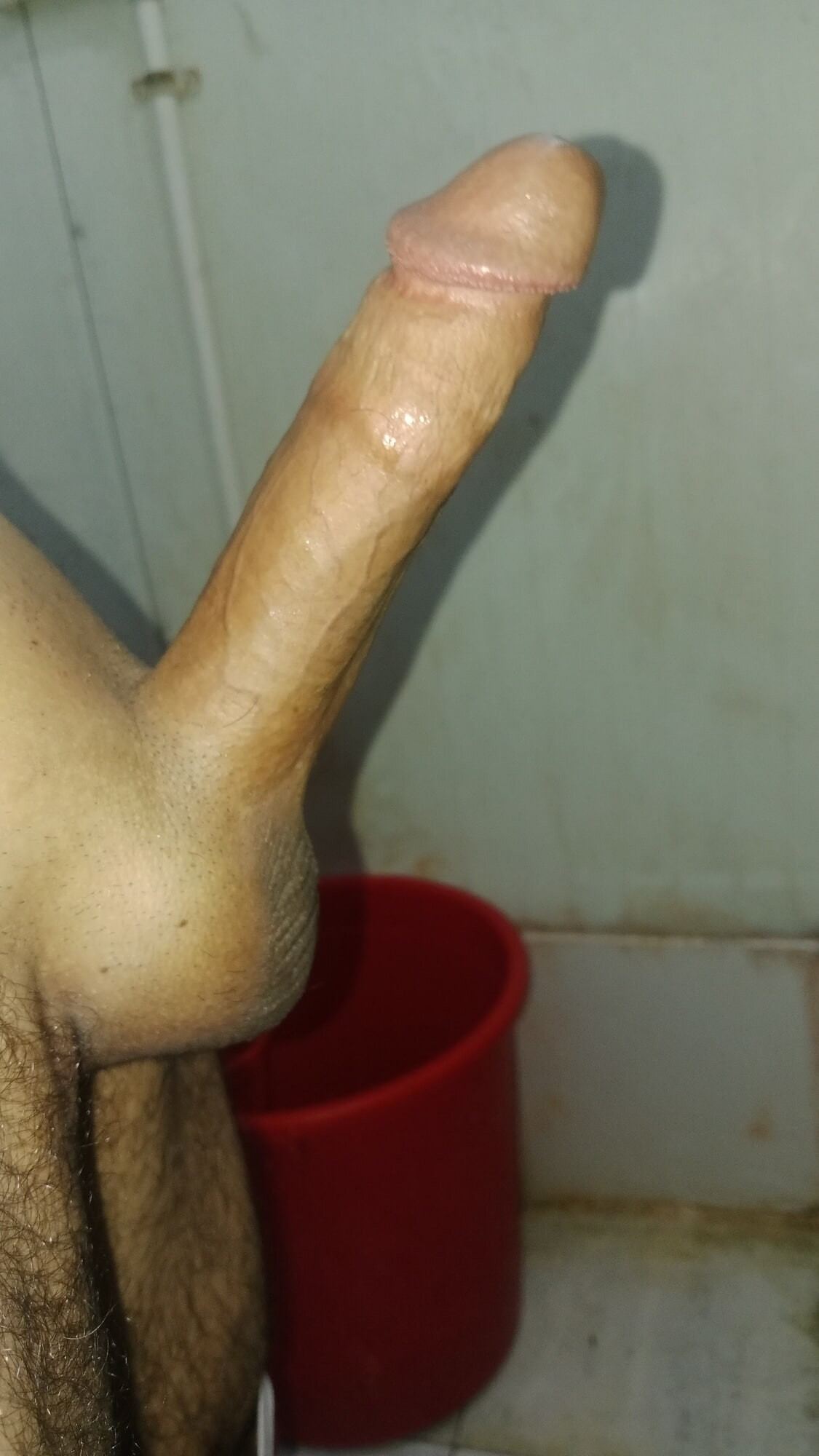 لدي بطول 7 بوصات