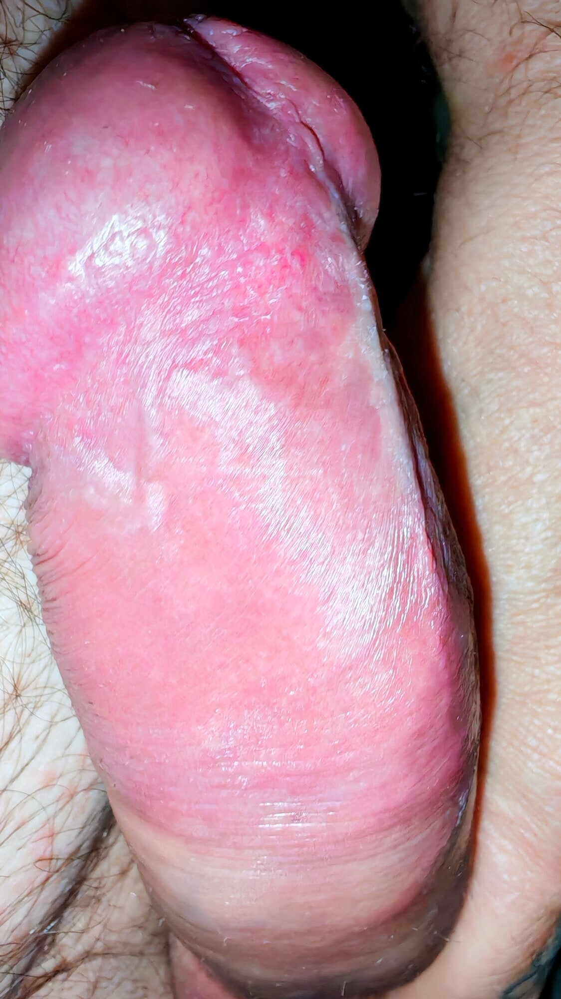 My cock
