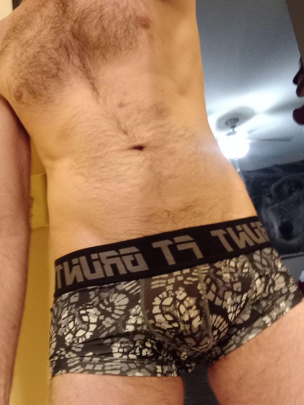 Puppers Showing off in underwear...again #23