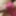 Porn photo 