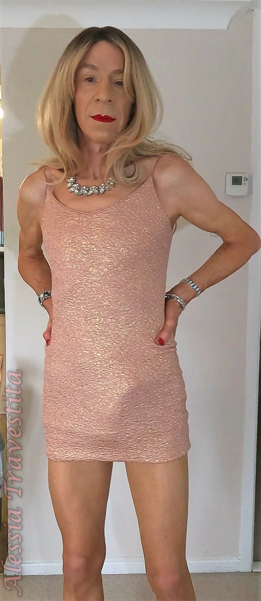 83 Alessia Travestita in Fawn Glitter Dress #34