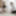 ONLY TARTS - Shock Content new scene PART 1