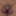 Mandatory Weighing, Cagecheck Oktober 6, 2023