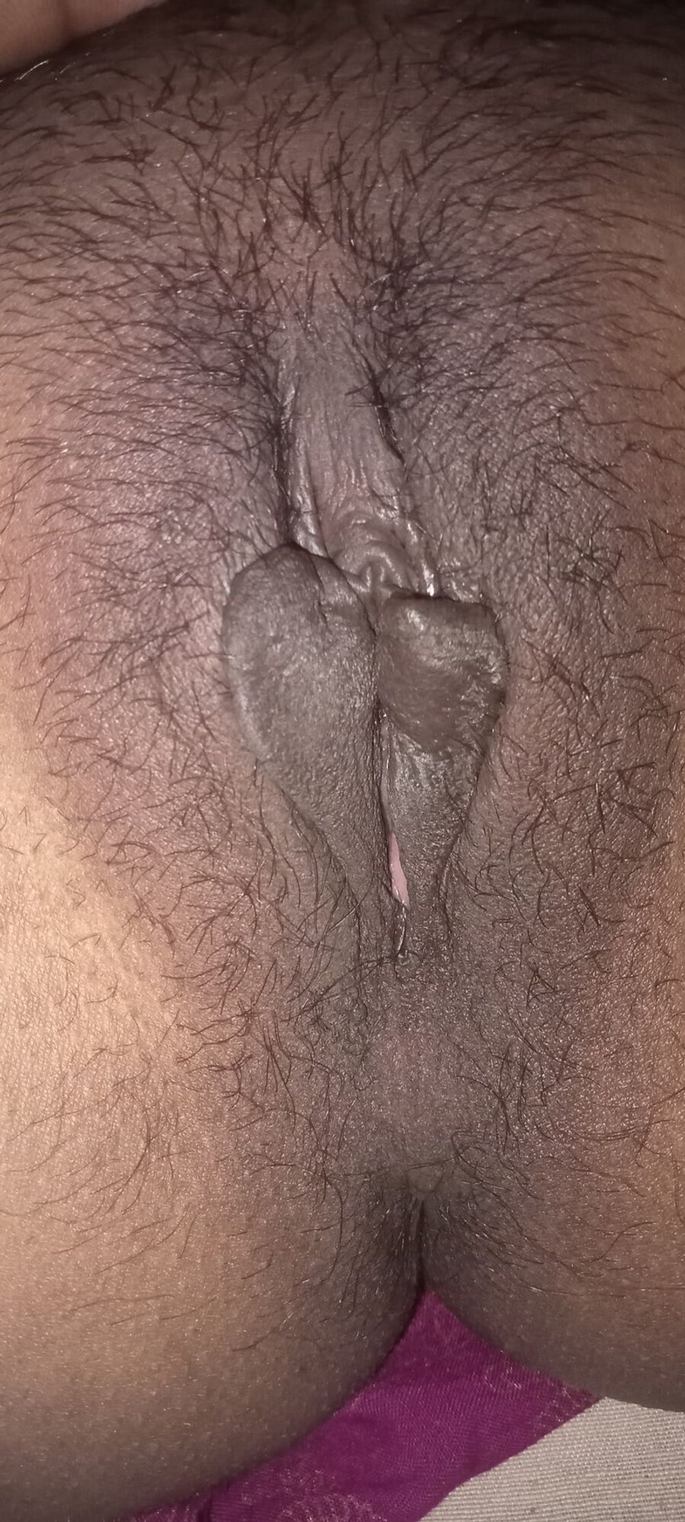 Desi bhabhi 