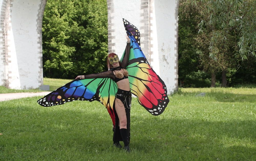 Wings of Butterfly #25