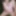 Crossdressing juniper beri in pink