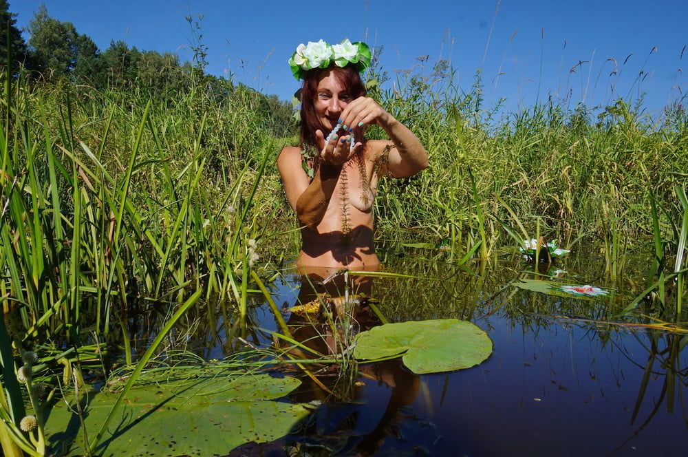 In pond with waterflowers #17