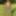 Special Handjob - Outdoor CBT