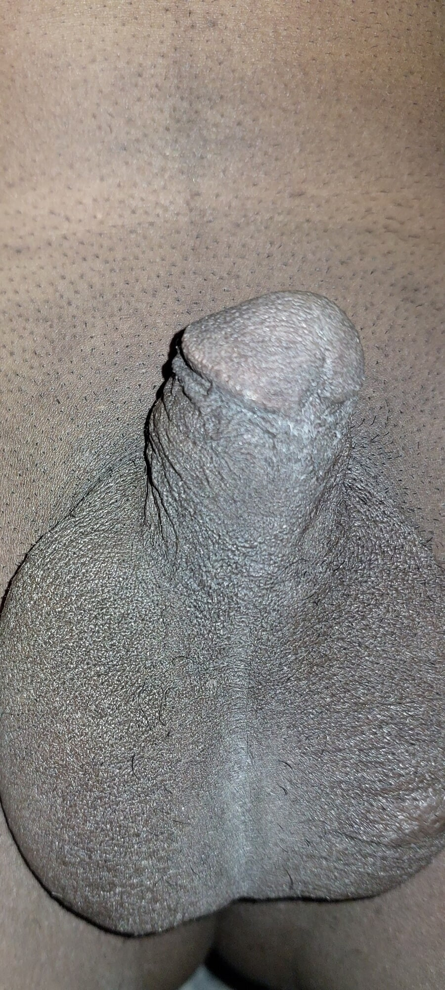 Micro penis #33