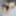 Ücretsiz Alice Fotoğrafları
