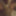Soll ich damit masturbieren in einem Video