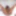 BLACK-TGIRLS: A Sylver Lining