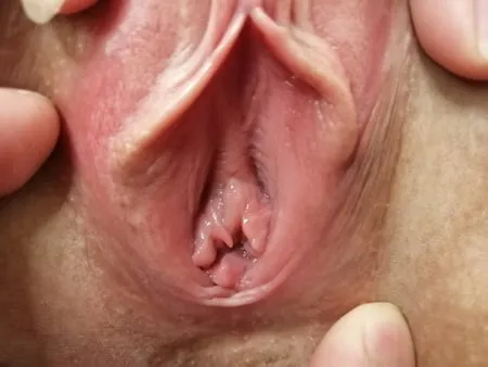 pussy close up