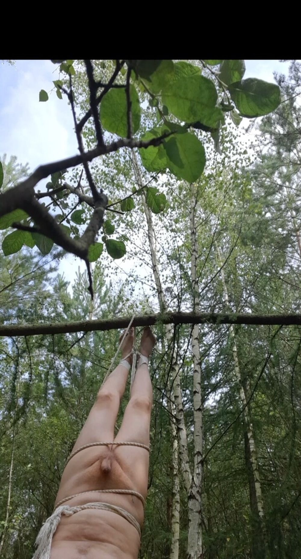 naked in the wood #27