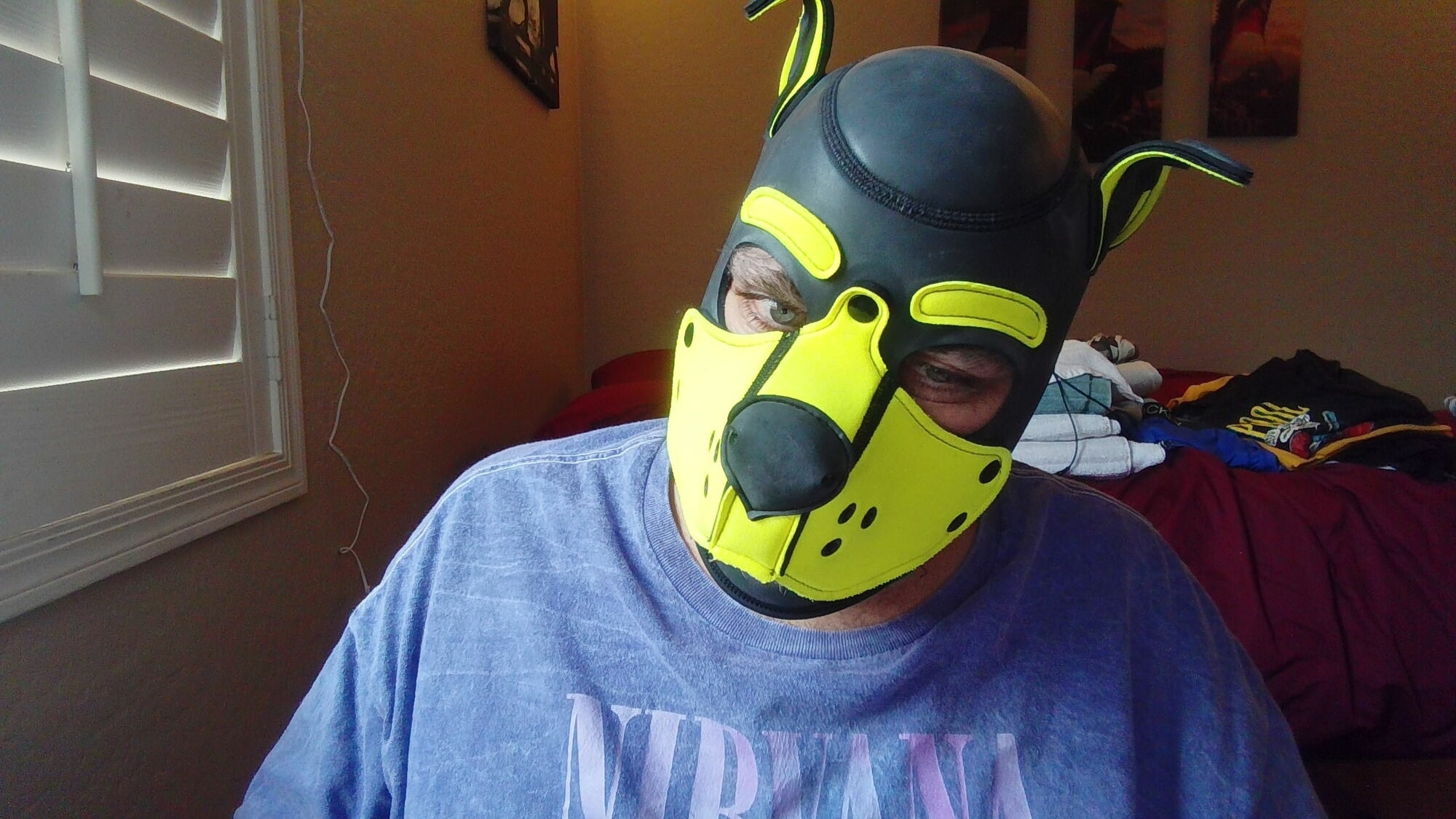 Chilling in my Puphood 