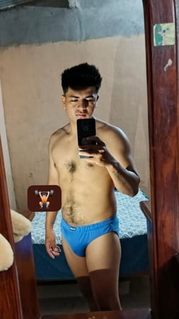 Bear Jr
