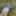 Cover up, reveal #53