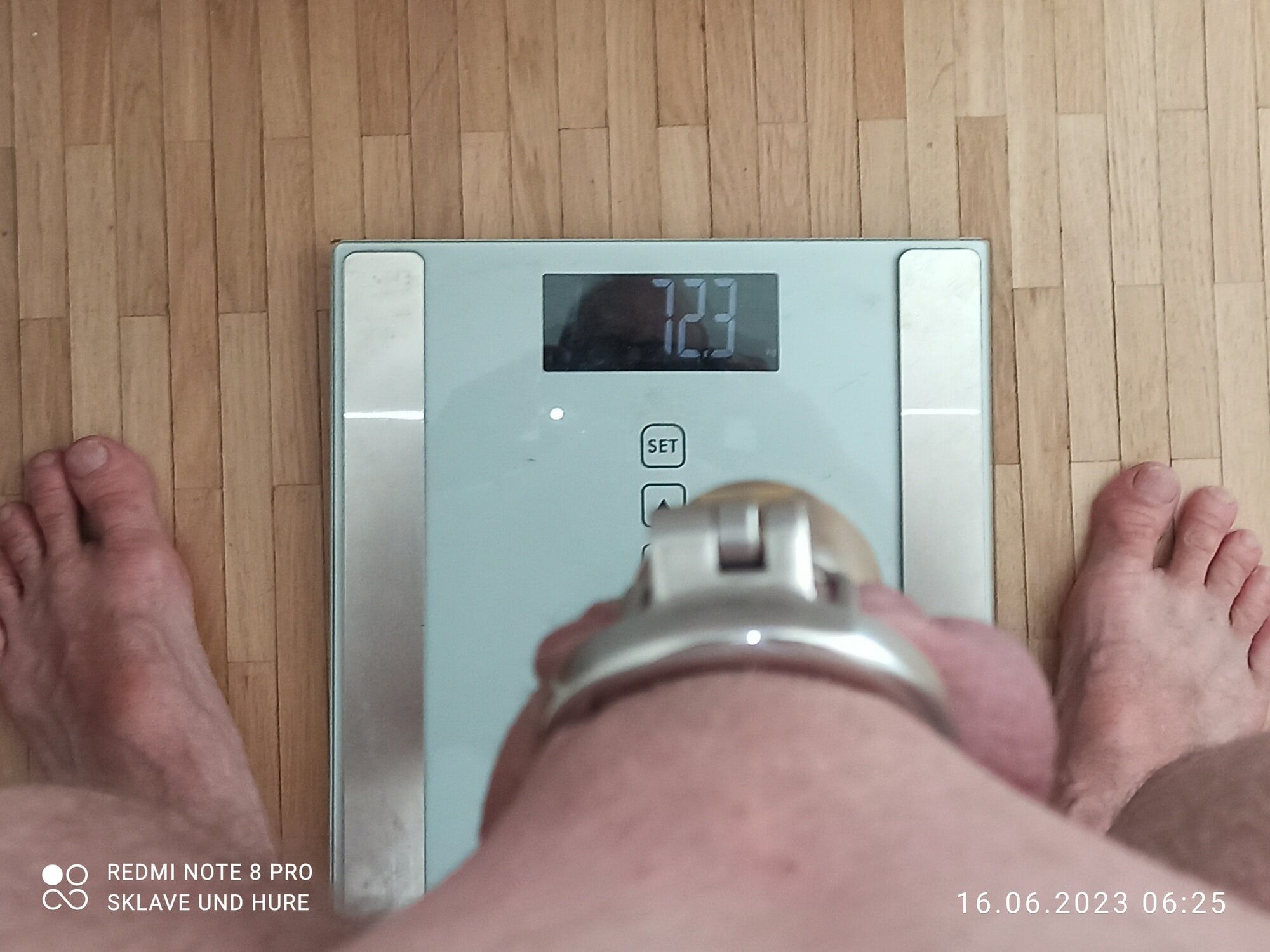 weighing , cagecheck, 16.06.2023 #13