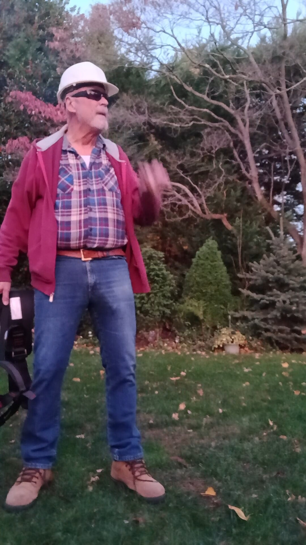 Safety harness for tree pruning  #6