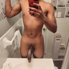 18 breeding cock 