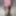 Shemale Bubble Butt In Mini Skirt Shows Big Clit and Huge Ti