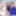 BRAZILIAN TRANSSEXUALS: Unexpected And Intense 2 Stars Foota