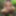 Tygra slut nude in the forest of the Robertsau. #6