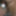 My huge cum loads from all my content by gifs #16