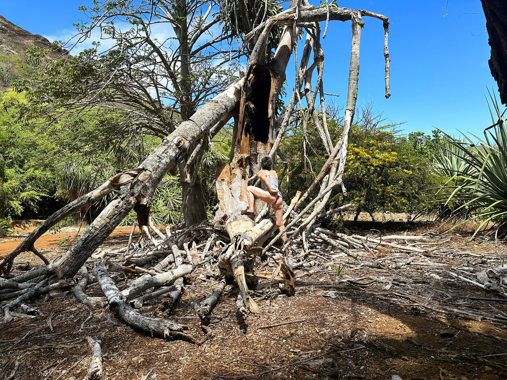 Photos from Hawaii  #34