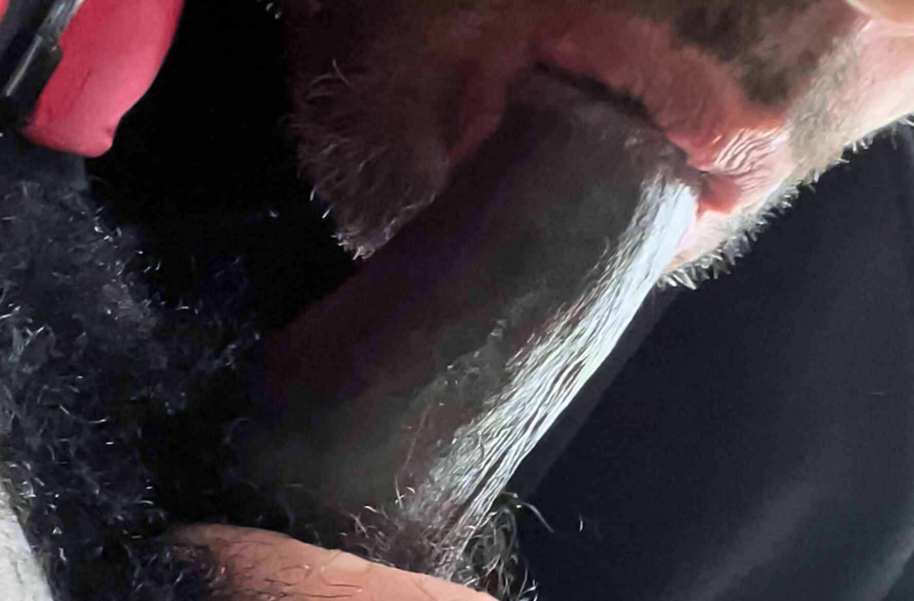 I suck a big black cock #2