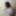 Two maids serve a black dick #2