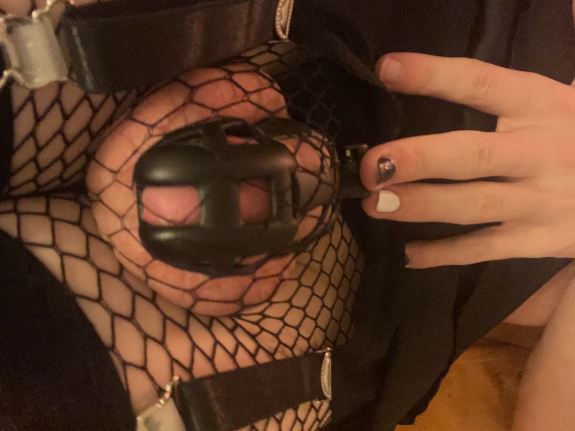 A caged Sissy #3