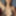 leatherskittens Free Photos