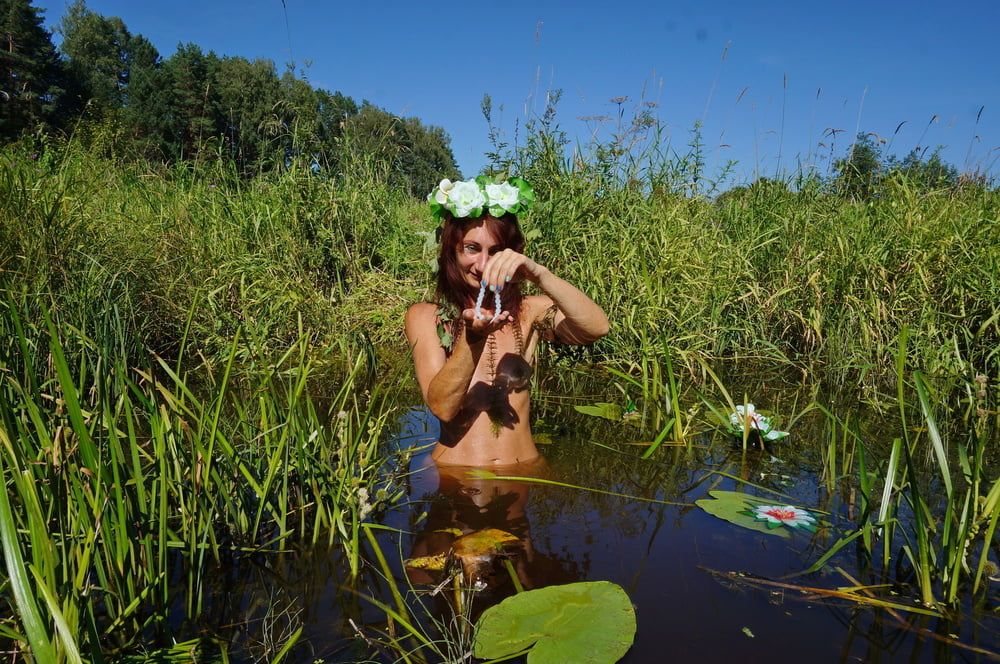 In pond with waterflowers #22