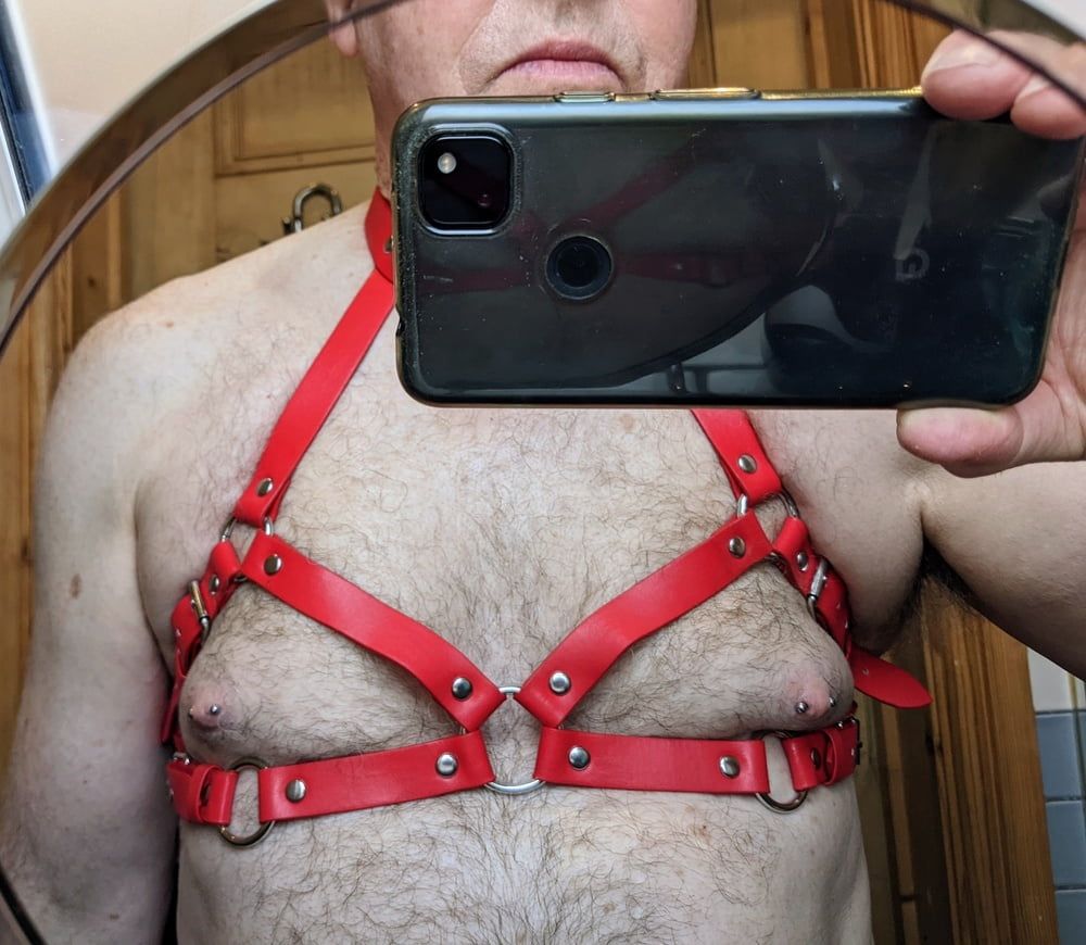 Boob harness #20