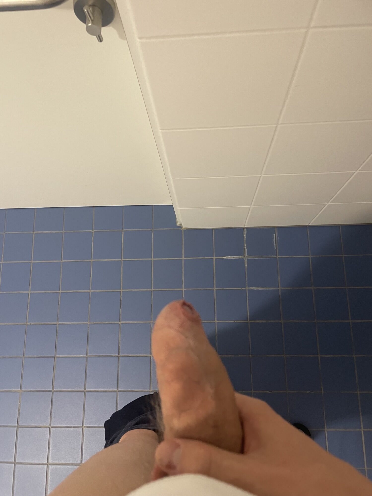 Jerk off penis on the toilet
