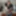 Grooby-archives: grace iris dolduruluyor
