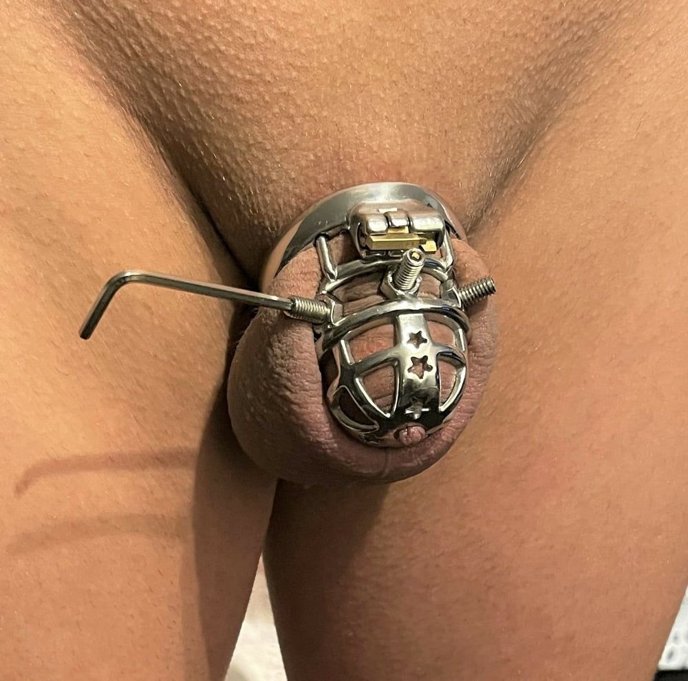 Sissy Wearing Short Chastity Cage With Scary Sharp Screws #6