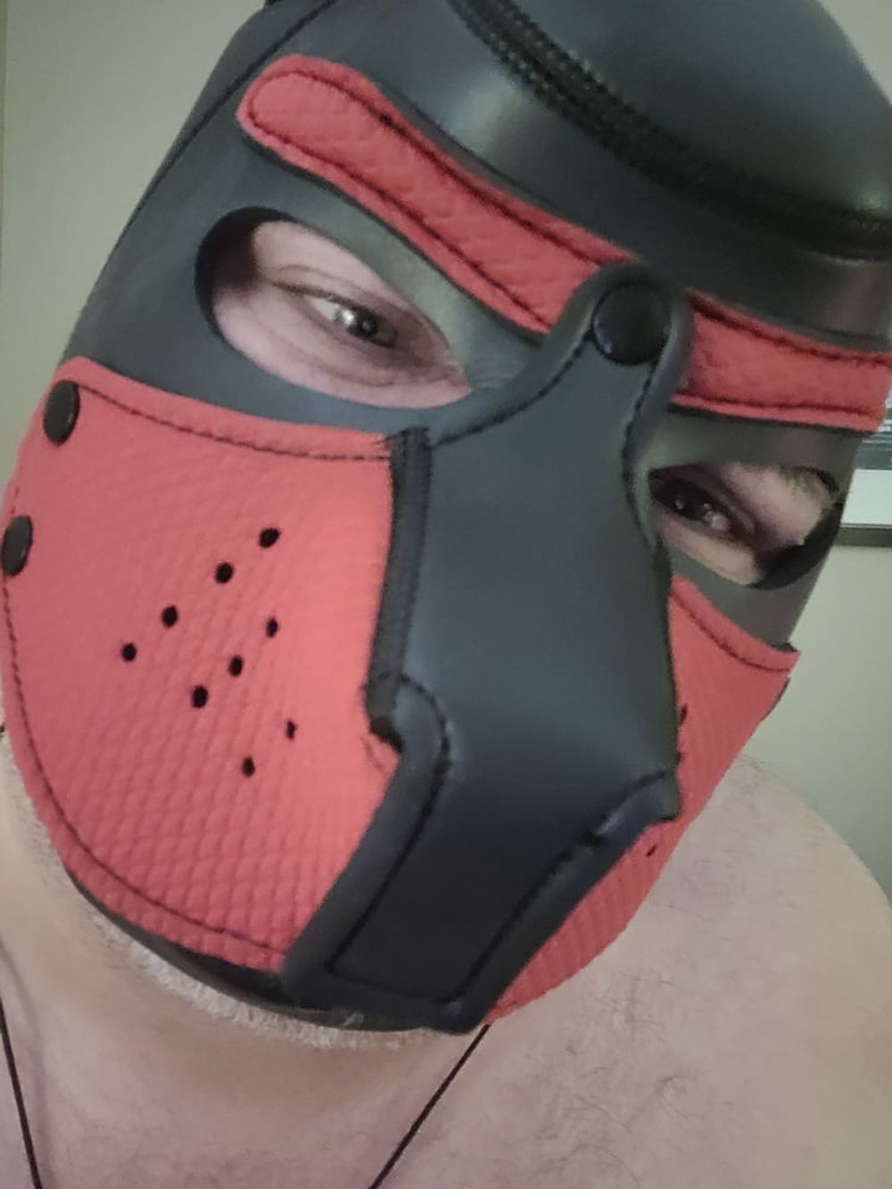 Woof! Masked Set #18