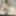 FEMOUT.XXX: Fairy Petal Gets Rear Ended #3