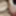 I cum a lot while doing a private show #2